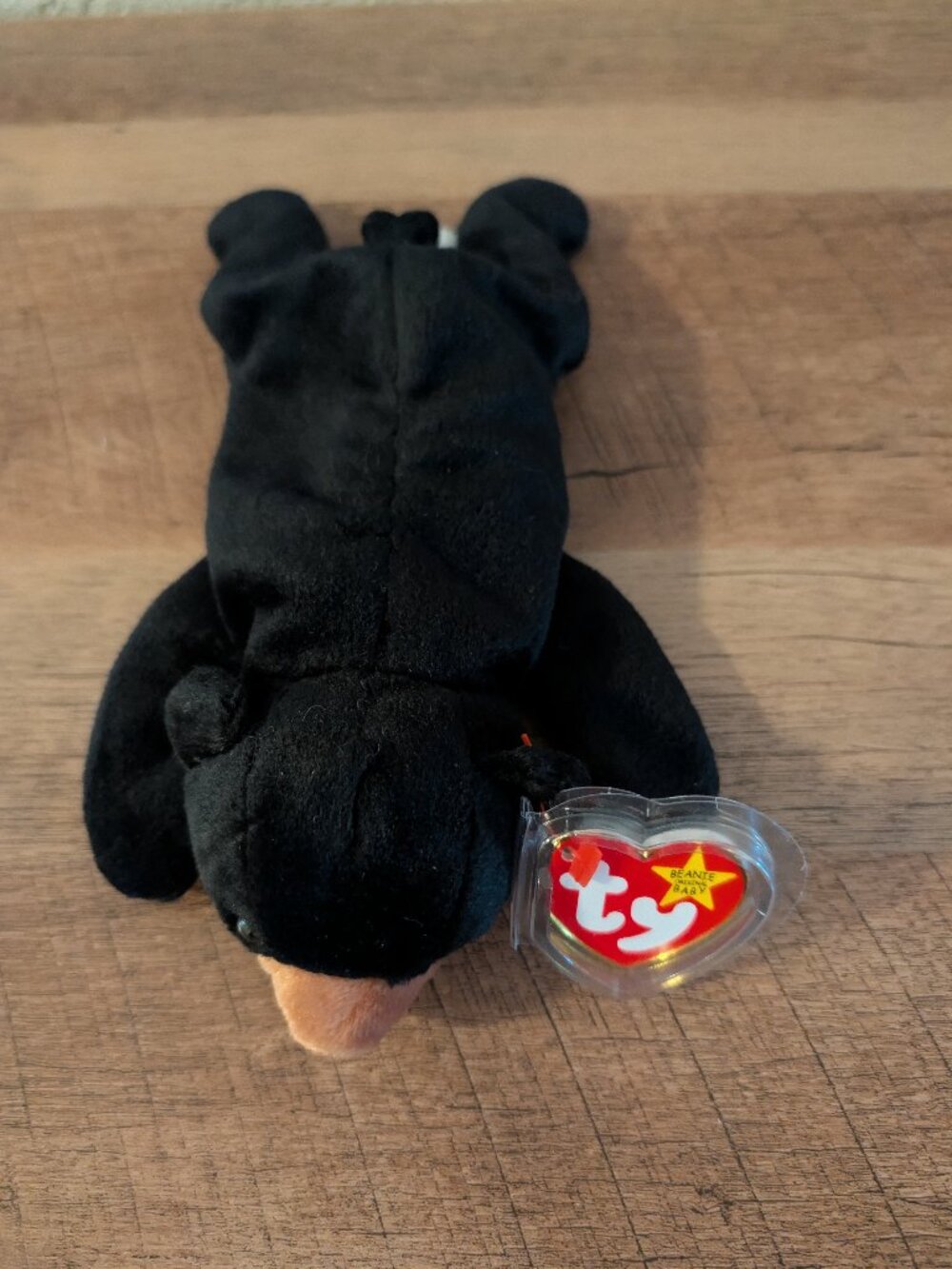 TY Beanie Baby “Blackie” Bear 🐻 | Vintage Plush w/ Tag Protector 1993